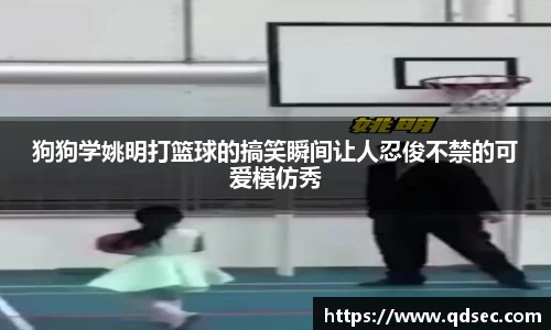 狗狗学姚明打篮球的搞笑瞬间让人忍俊不禁的可爱模仿秀