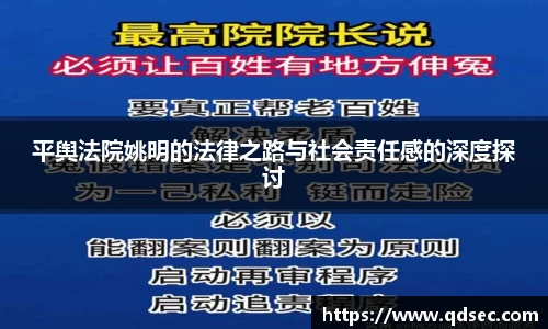 平舆法院姚明的法律之路与社会责任感的深度探讨